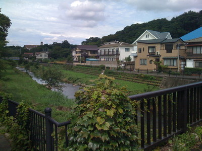 大沢を流れる野川