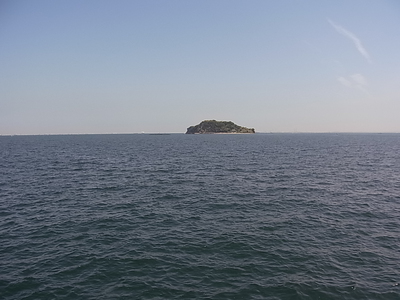 遠くに見える猿島