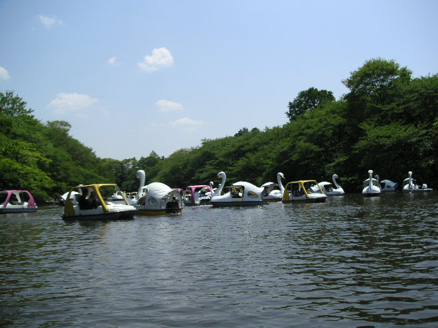 井の頭公園池のボート