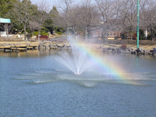 公園の噴水と虹