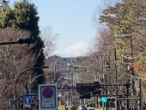 井の頭自然文化園前歩道橋の上なら見た富士山