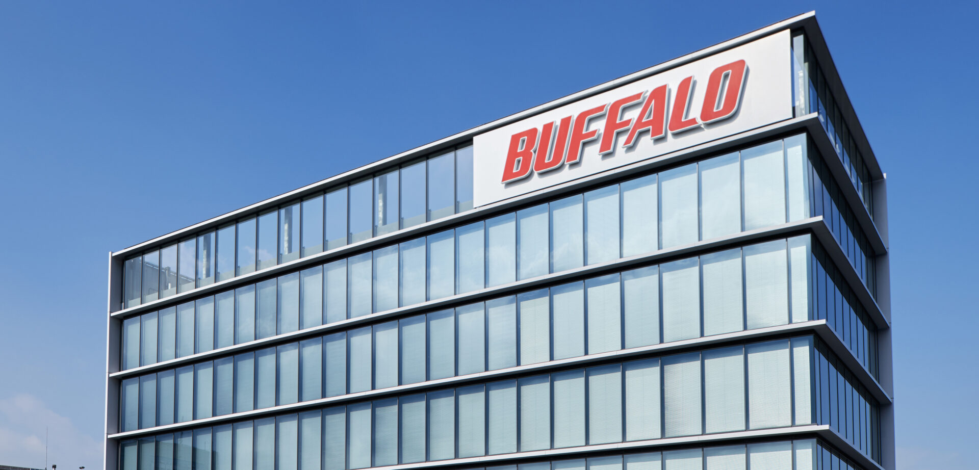 バッファロー　BUFFALO