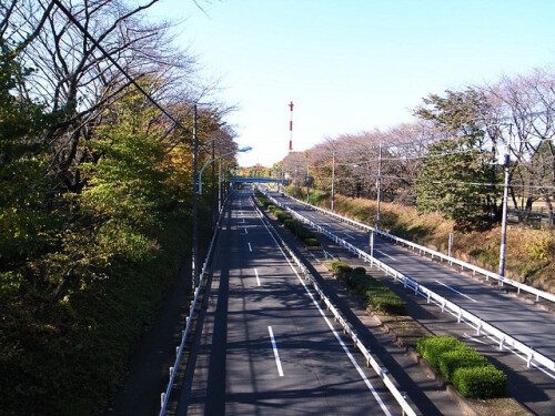 東八道路