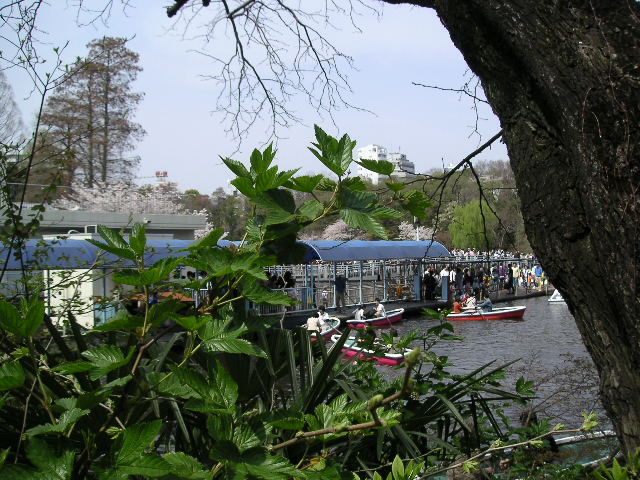 井の頭公園ボート場