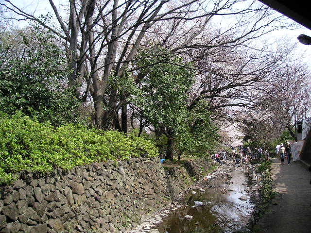 神田川(神田上水)