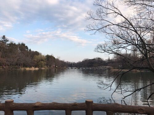 井の頭公園　池　ボート