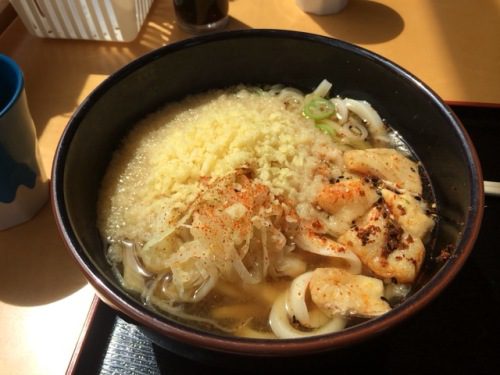 道の駅富士吉田　かけうどん大盛