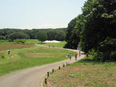 国営武蔵丘陵森林公園