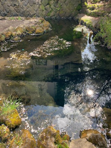 お釜池 忍野八海