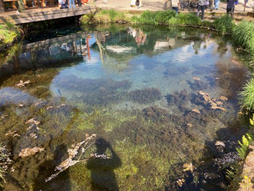 忍野八海 濁池