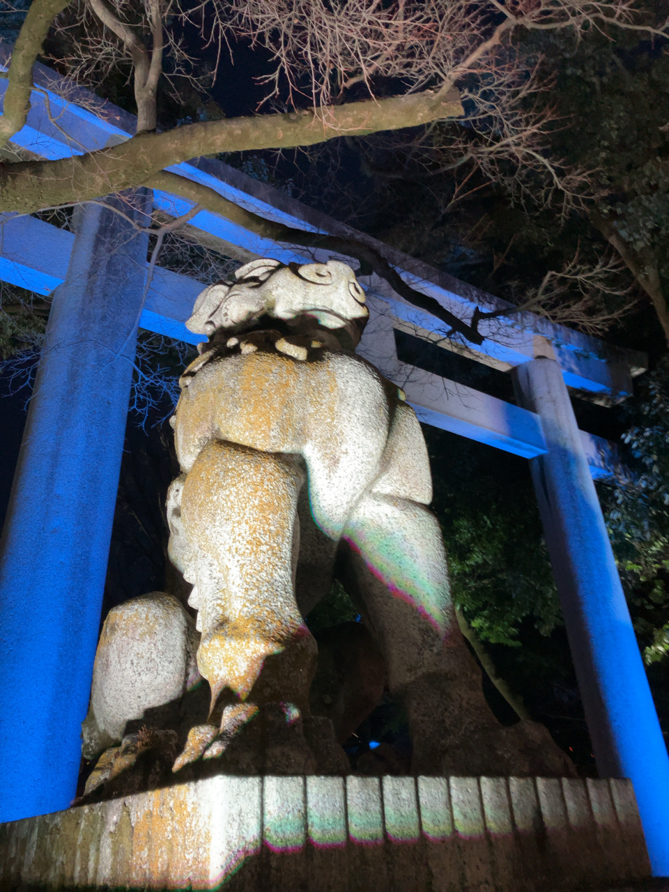 秩父神社 大鳥居