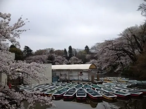 井の頭公園とボート