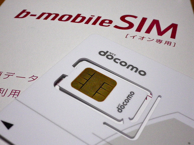 イオンion sim