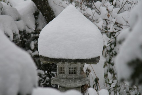 雪