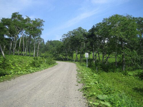 田舎道