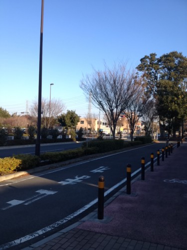 側道　調布保谷線　深大寺