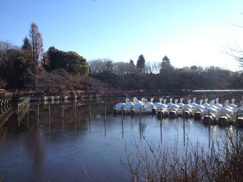 ボート池は水が抜かれている