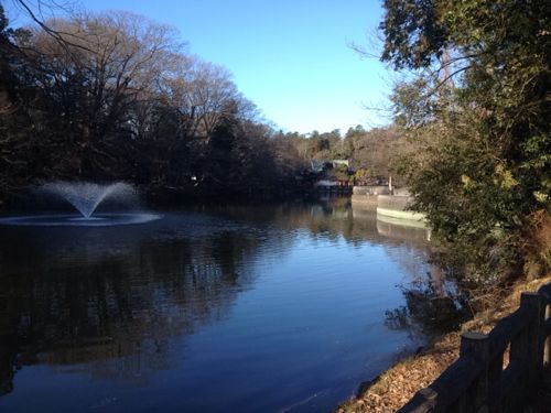 こちらの池は水で満たされている