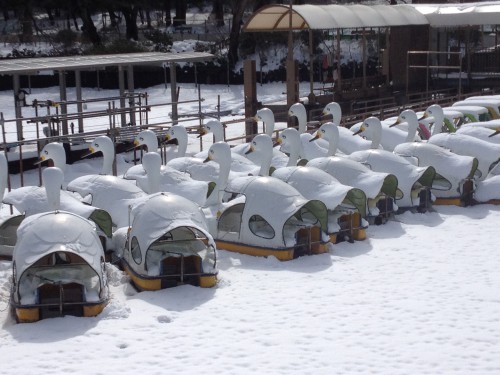 井の頭公園のボートと雪