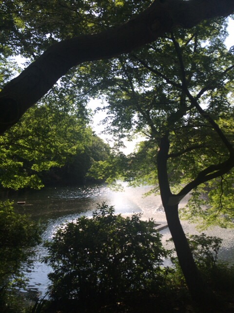 井の頭公園の噴水