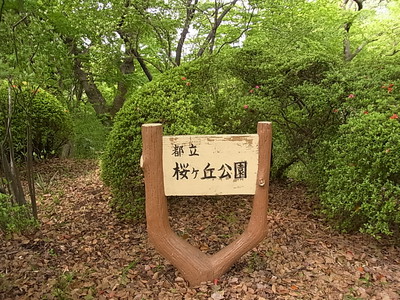 桜ヶ丘公園