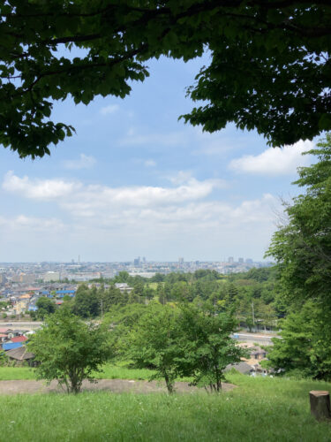 桜ヶ丘公園のゆうひの丘