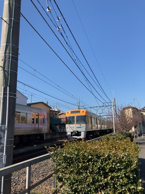 井の頭線の電車