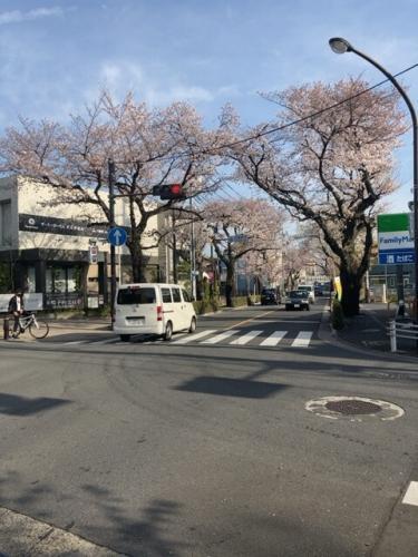 むらさき橋交差点