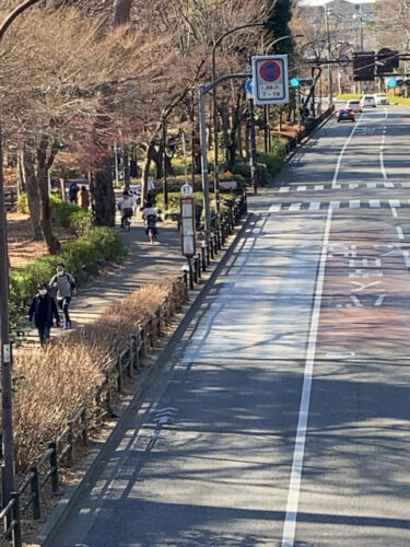 吉祥寺通り