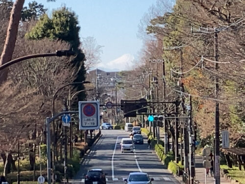 吉祥寺通りと富士山