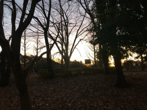 駐車場から深大寺へ