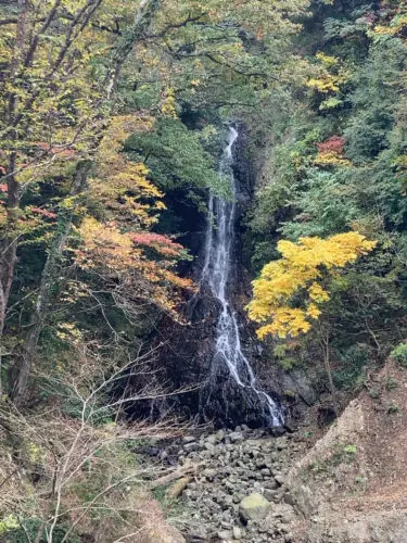 大沢の滝