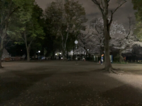 夜の井の頭公園