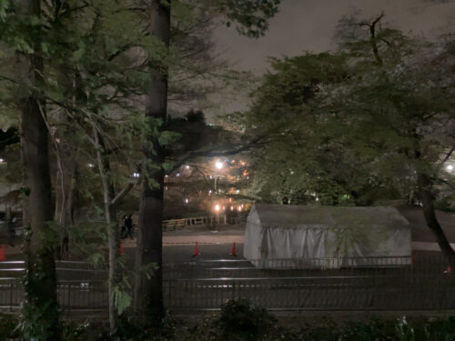 夜の井の頭公園