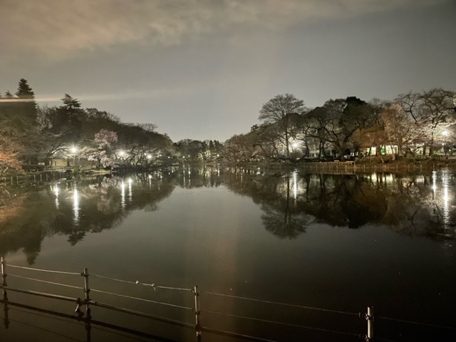 井の頭公園池の夜景
