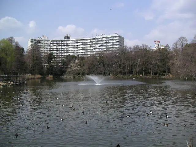 井の頭公園池とマンション