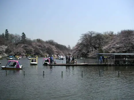 井の頭公園池