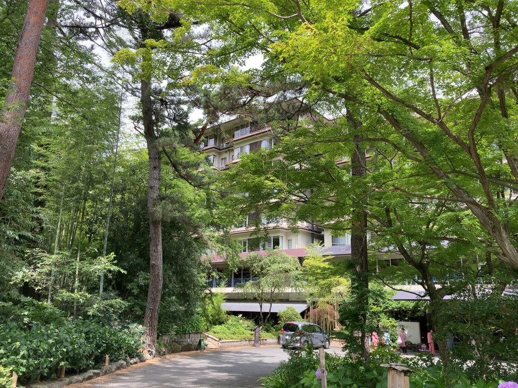 下部ホテル 下部温泉