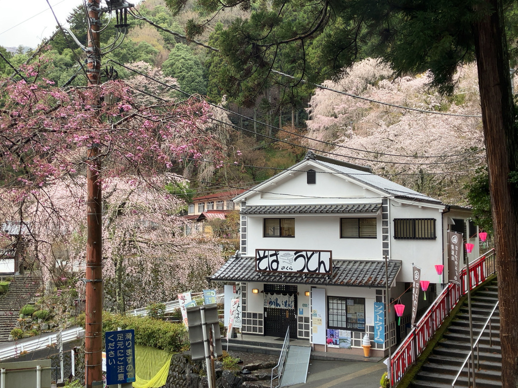 身延山久遠寺の飲食店